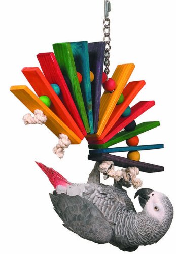 Best Bird Toys 75